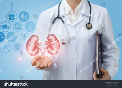 Best Kidney Specialist