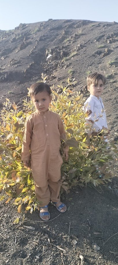 Dr. Atiq Ur Rehman