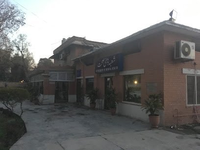 Department Of Mental Health