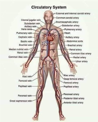 Dr. Aurang Zeb