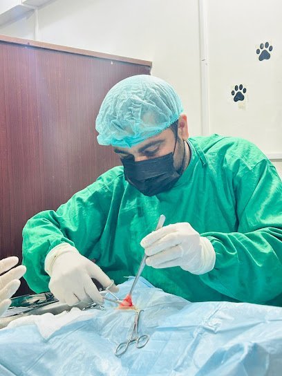 Danish Pet Clinic