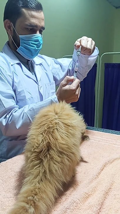 Best Care Pet Clinic