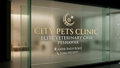 City Pets Clinic