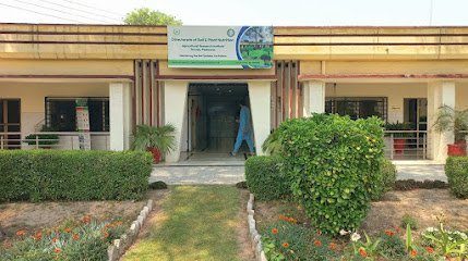 Directorate Of Soil And Plant Nutrition