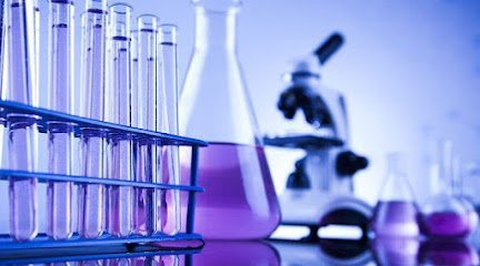 Neuro Molecular Medicine Research Center