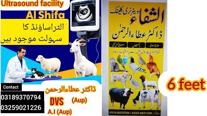 Al Shifa Veterinary Clinic