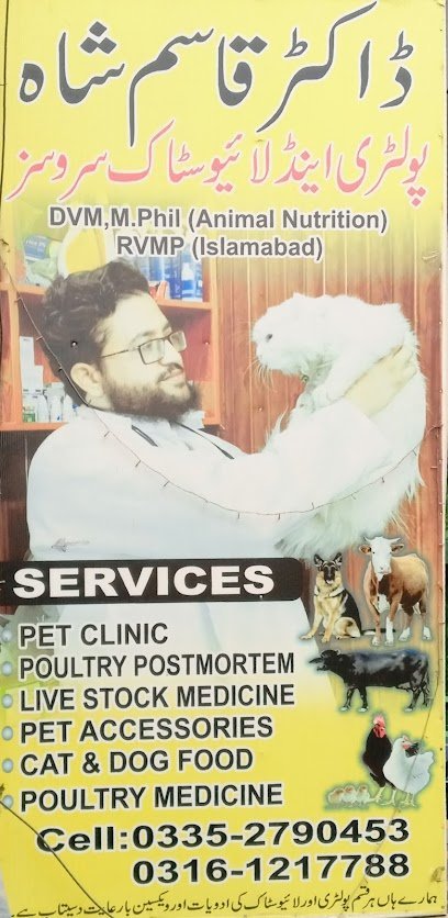 Dr. Qasim Pet Clinic