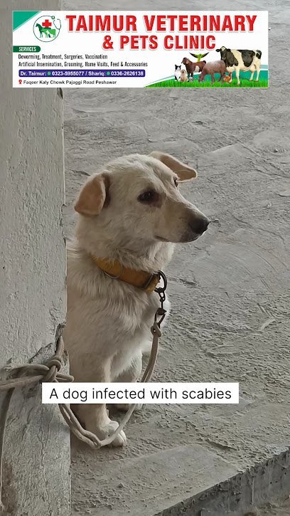 Taimur Veterinary & Pets Clinic