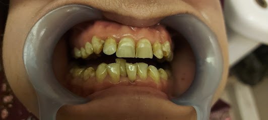 The Dental Clinic