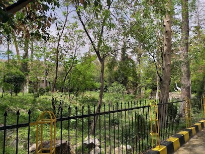 Fatima Jinnah General & Chest Hospital