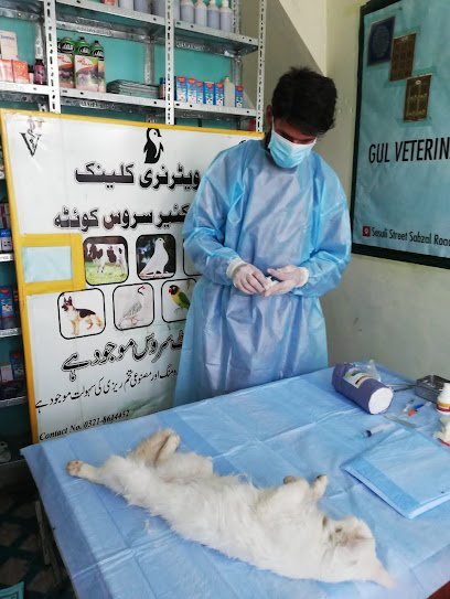 Gul Veterinary Clinic And Pets Care Services