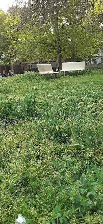 Garden Of Pharmacy