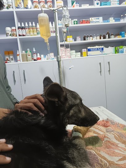 Veteran Pets Care