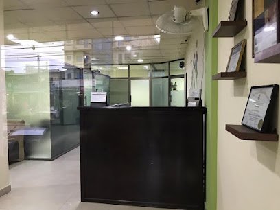 The Physiotherapy Clinic