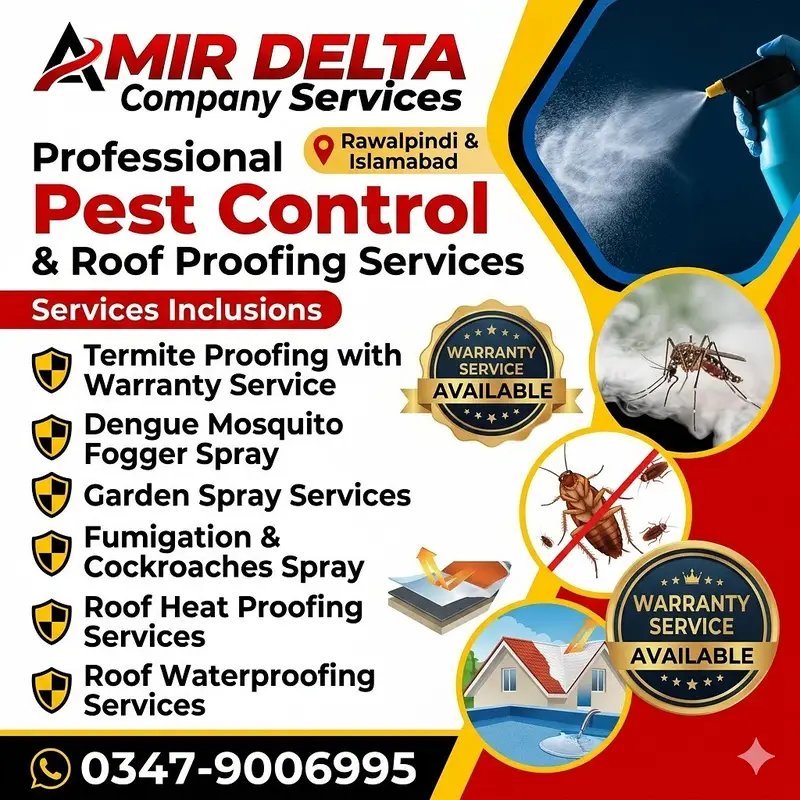 Amir Delta Company Cleaning Services