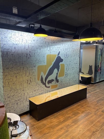 My Pet Hospital