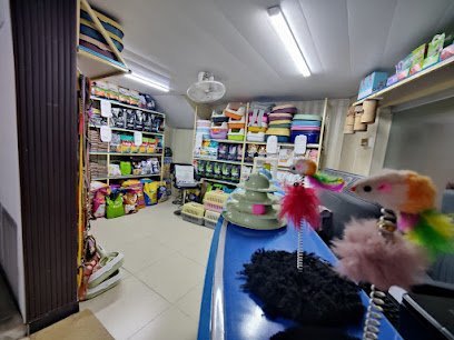 Pet Cure Clinic