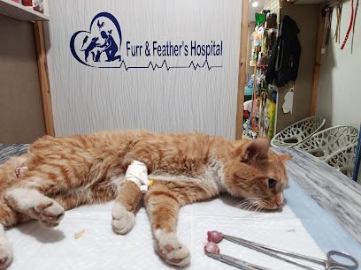 Furr And Feather'S Hospital
