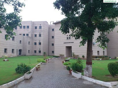 Artificial Limb Center