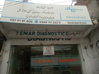 Temar Diagnostic, Adyala Point