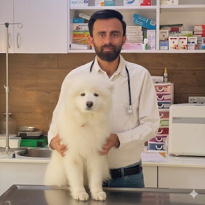 Doctor Pet Hospital