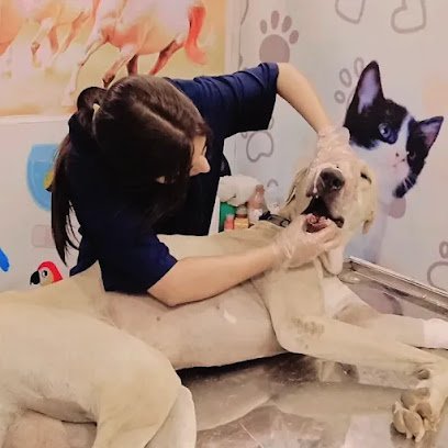 Askari Veterinary Branch 2
