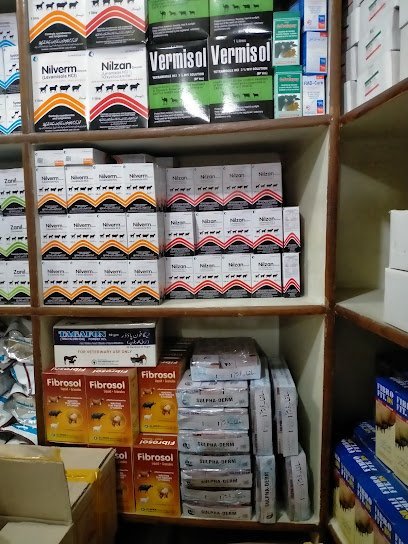 Punjab Pharmacy